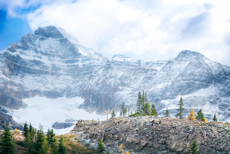 канада, йохо, национальный парк, гора биддл, пейзажи, природа, лиственница, деревья, канадские скалистые горы, осенний сезон, британская колумбия, британская колумбия, canada, yoho, national park, mount biddle, landscapes, nature, larch, trees, canadian r Rocky icebergsphoto preview