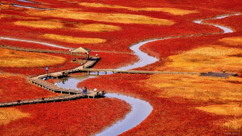 salt pond landscape Korea red stream water  salt pondphoto preview
