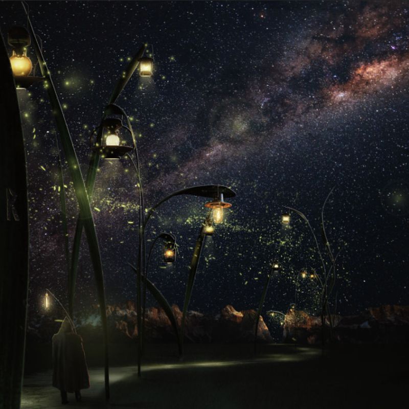 Дорога на Грасс Айлендеphoto preview