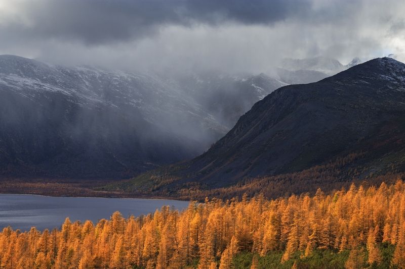 Снег идёт...photo preview