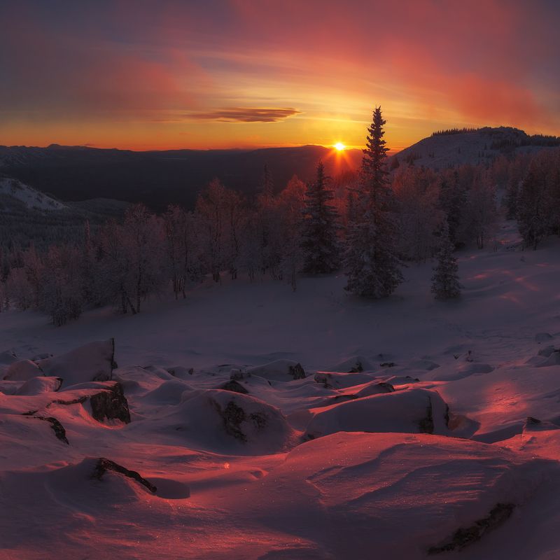 Триоphoto preview