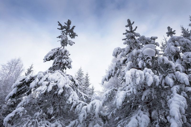 Уральская зимаphoto preview