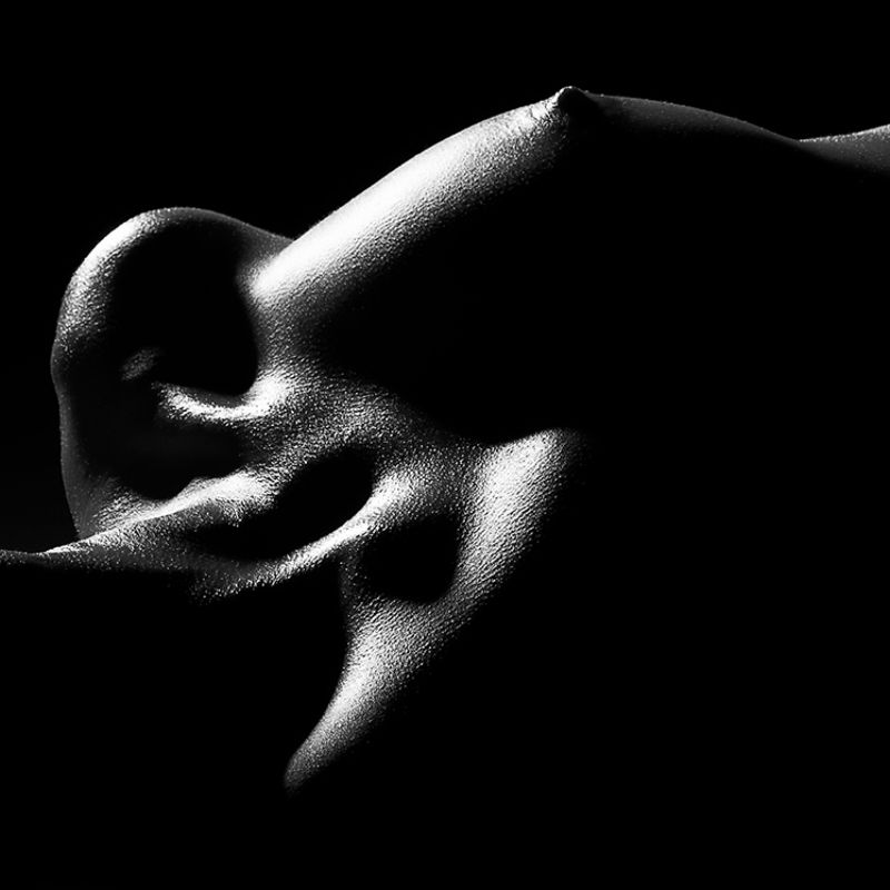 body. girl. beauty. sexy. art. fine art. blackandwhite Elementphoto preview