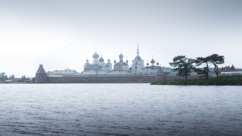 #dervod #drevo #Соловки Ставропигиальный мужской монастырь Русской православной церкви.photo preview