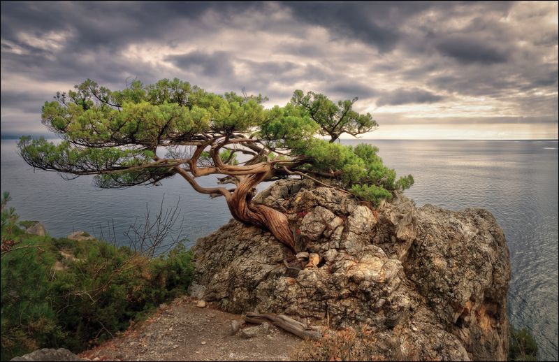 Метаморфозы. фото превью