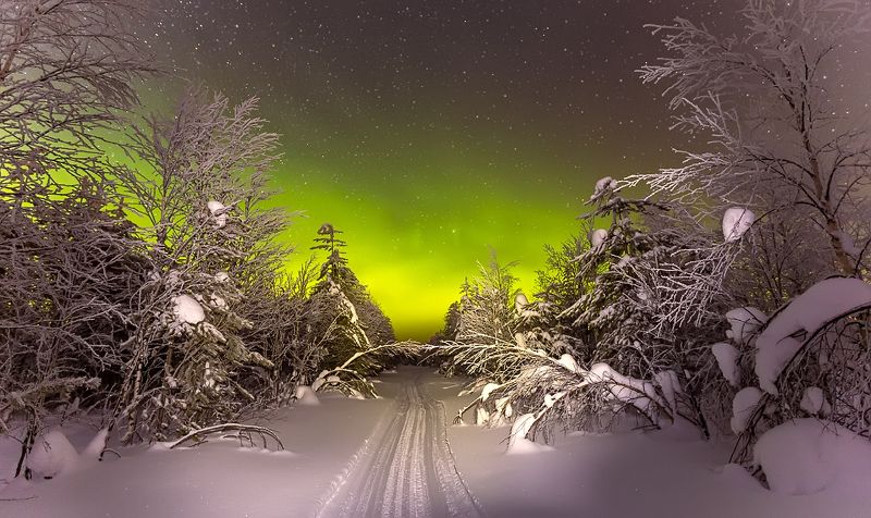 северное сияние,полярное сияние,сс,коми,природа,север,northern lights, polar lights, ss, komi, nature, north Не много посветило фото превью
