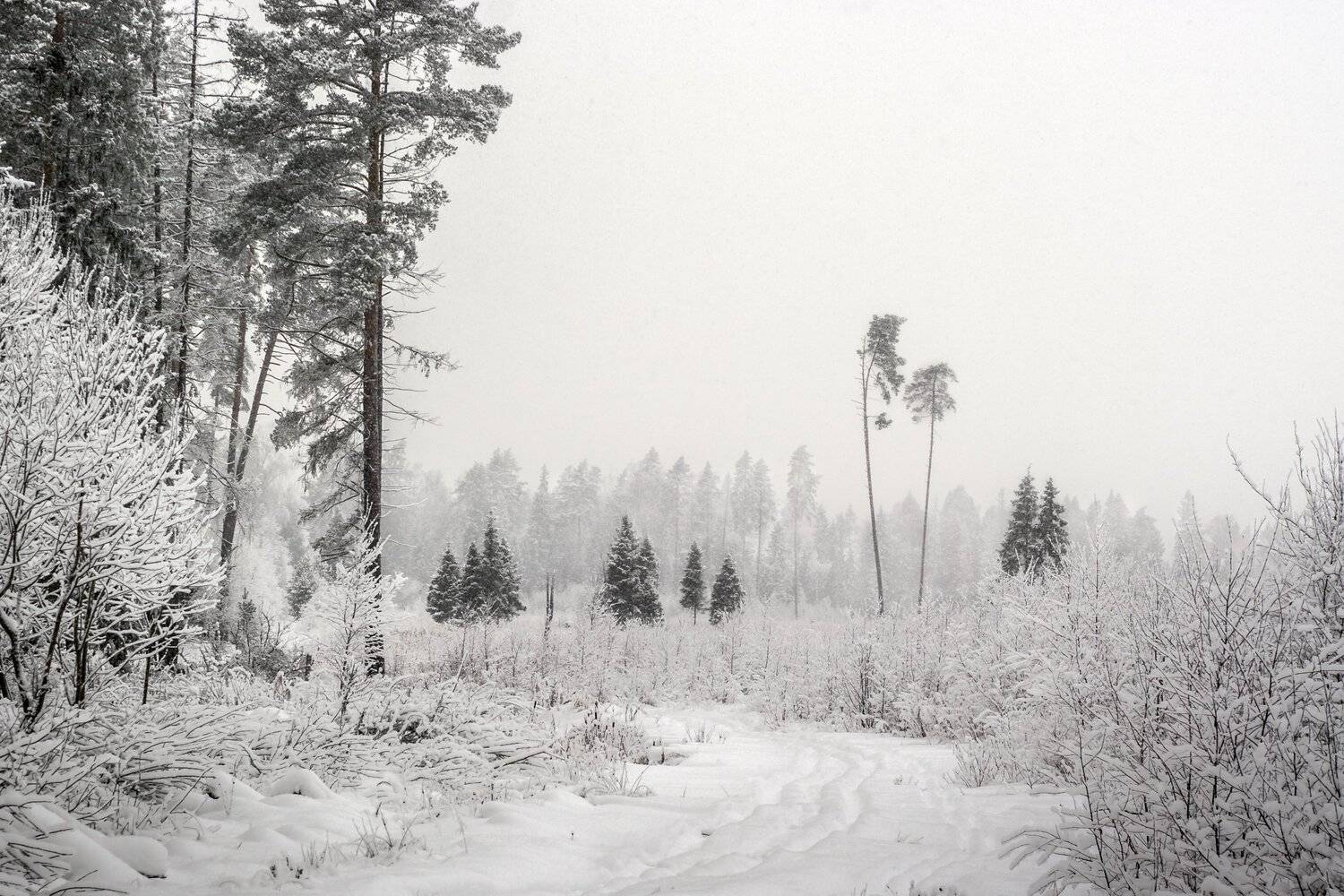 , Александр Кыров