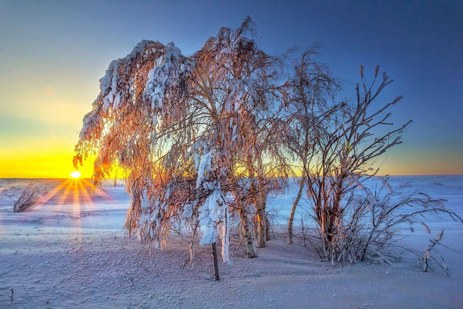 Утро в степях. Автор: Павел Сагайдак , Павел Сагайдак