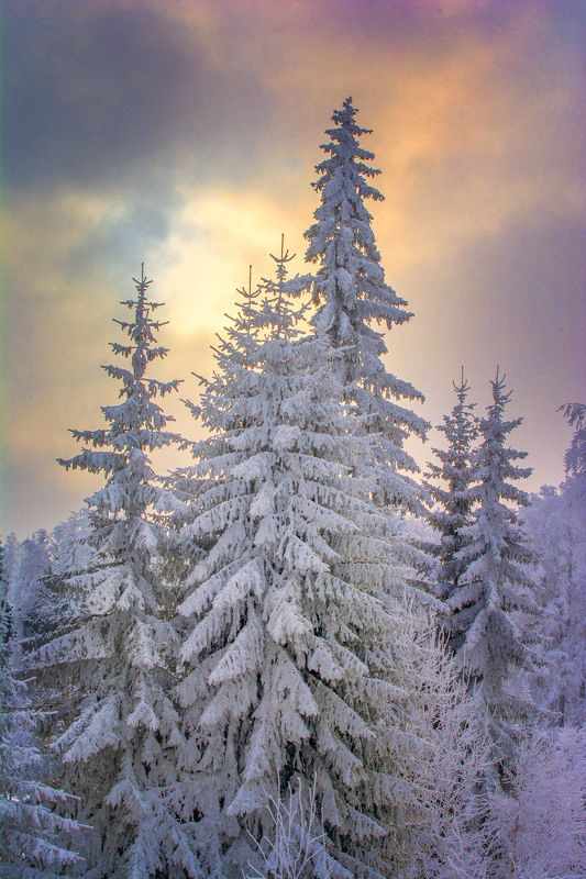 Landscape Winter Sunsetphoto preview