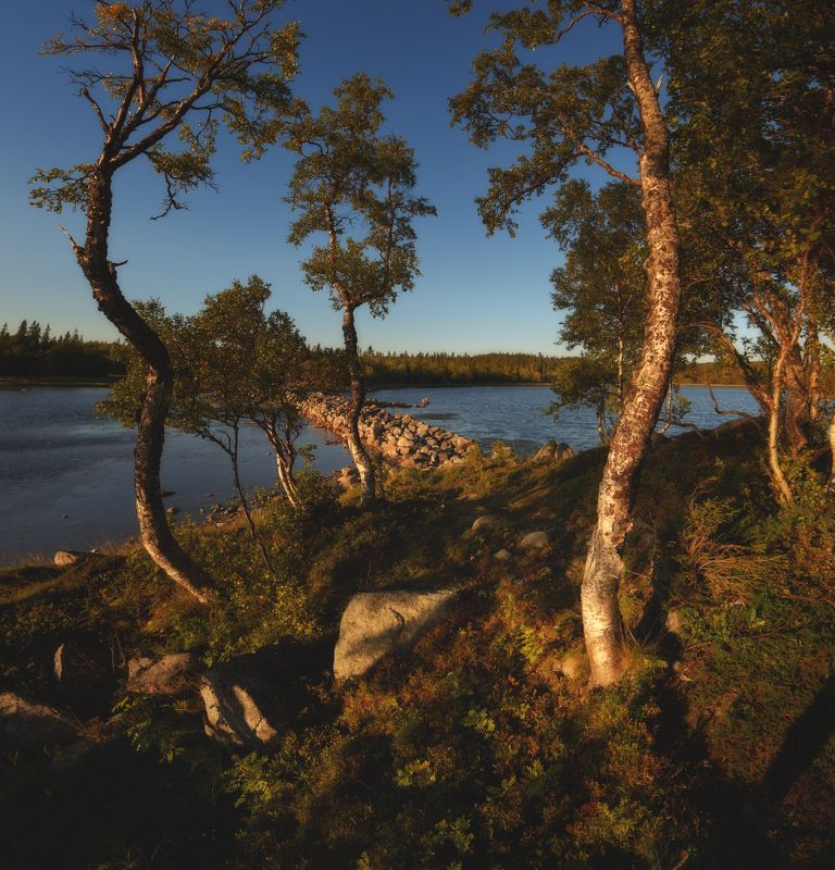 #dervod #drevo #Соловки Закат на филипповских садкахphoto preview