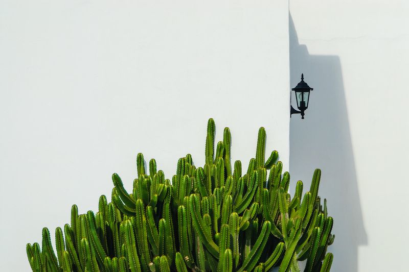 фонарь, кактус, лансароте, канарские острова Фонарь и кактусphoto preview