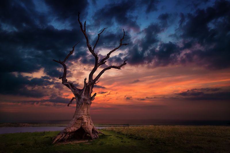 river, morning, sunrise, bridge, nature, sun, sky, myanmar Is This the End ...?photo preview