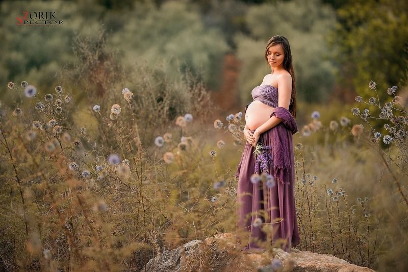 Photo by Zorik Spektorphoto preview