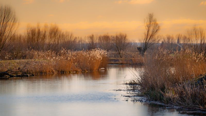 tyna zulawy Tyna -Żuławyphoto preview
