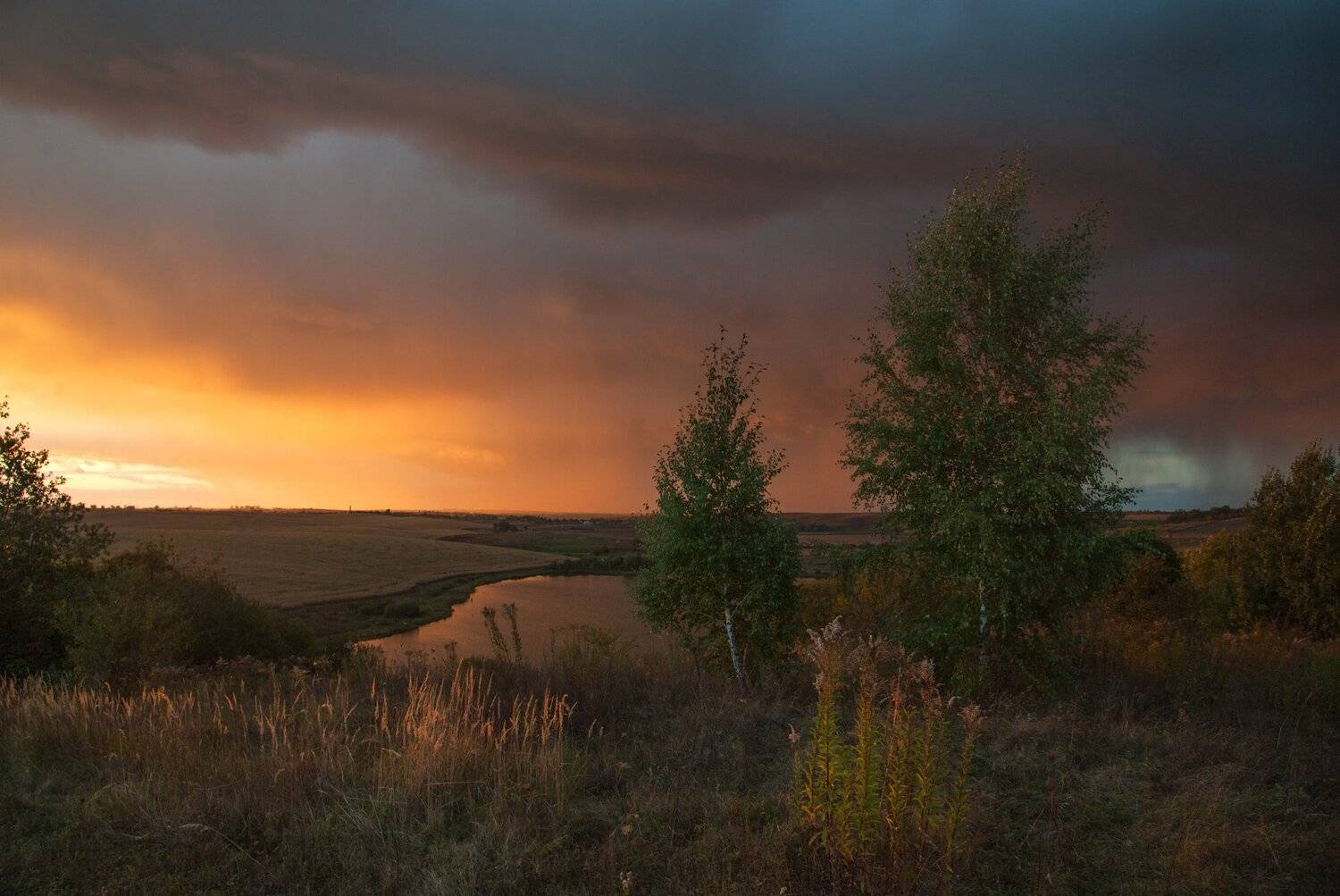 , Володимир Карчевський