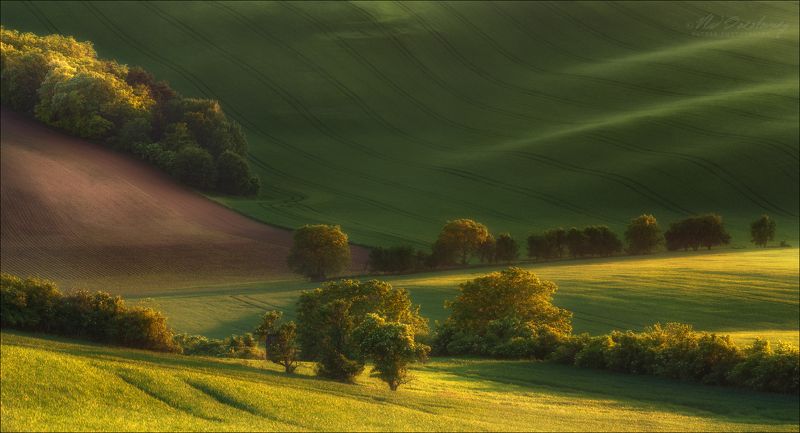 чехия, южная моравия, фототур, south moravia, czech, фототуры 2019, фототур в южную моравию, south moravian landscape, авторский фототур, влад соколовский,фототуры по европе Лето на Моравеphoto preview