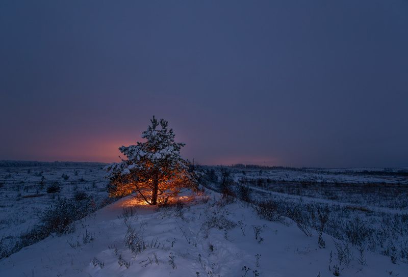 сумерки, свет, снег, декабрь, зима Декабрьский огонёк надеждыphoto preview