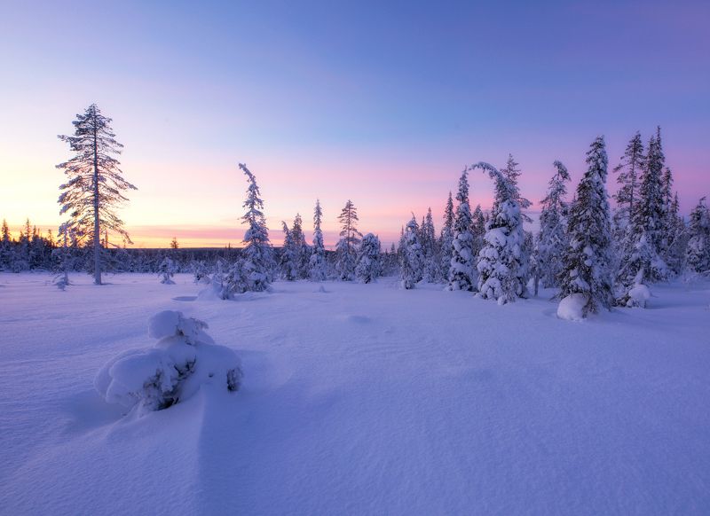 lapland, finland, winter, sunset Magical Winter in Laplandphoto preview