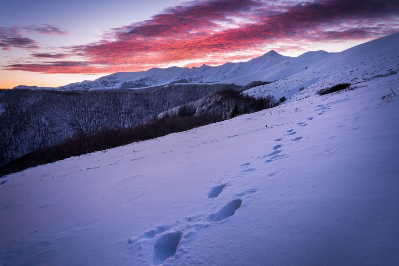 bulgaria, ambaritsa, central balkan, sunrise, botev peak, hut, adventure, travel On the tracks of the sunrisephoto preview