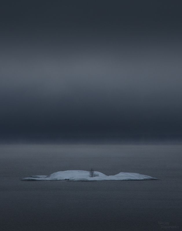 карелия, ладога, озеро, остров, койонсаари, дерево, единственный обитатель Островphoto preview