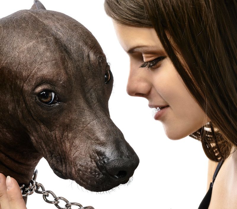 Грустьphoto preview