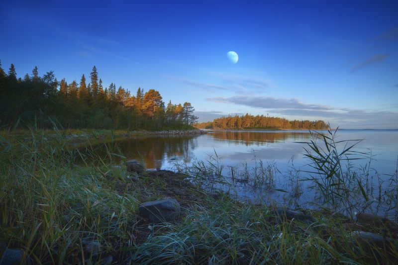 #dervod #drevo #Соловки Новая Сосновка, Соловецкий остров. Рассвет.photo preview