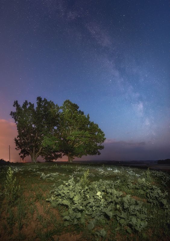 ночь млечный путь латвия пейзаж небо Воспоминания о летеphoto preview