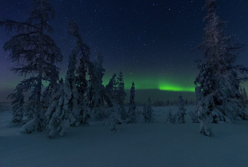ямал, салехард , сияние ,ямал ,янао, пейзаж, природа ,полярный урал ,аврора \
