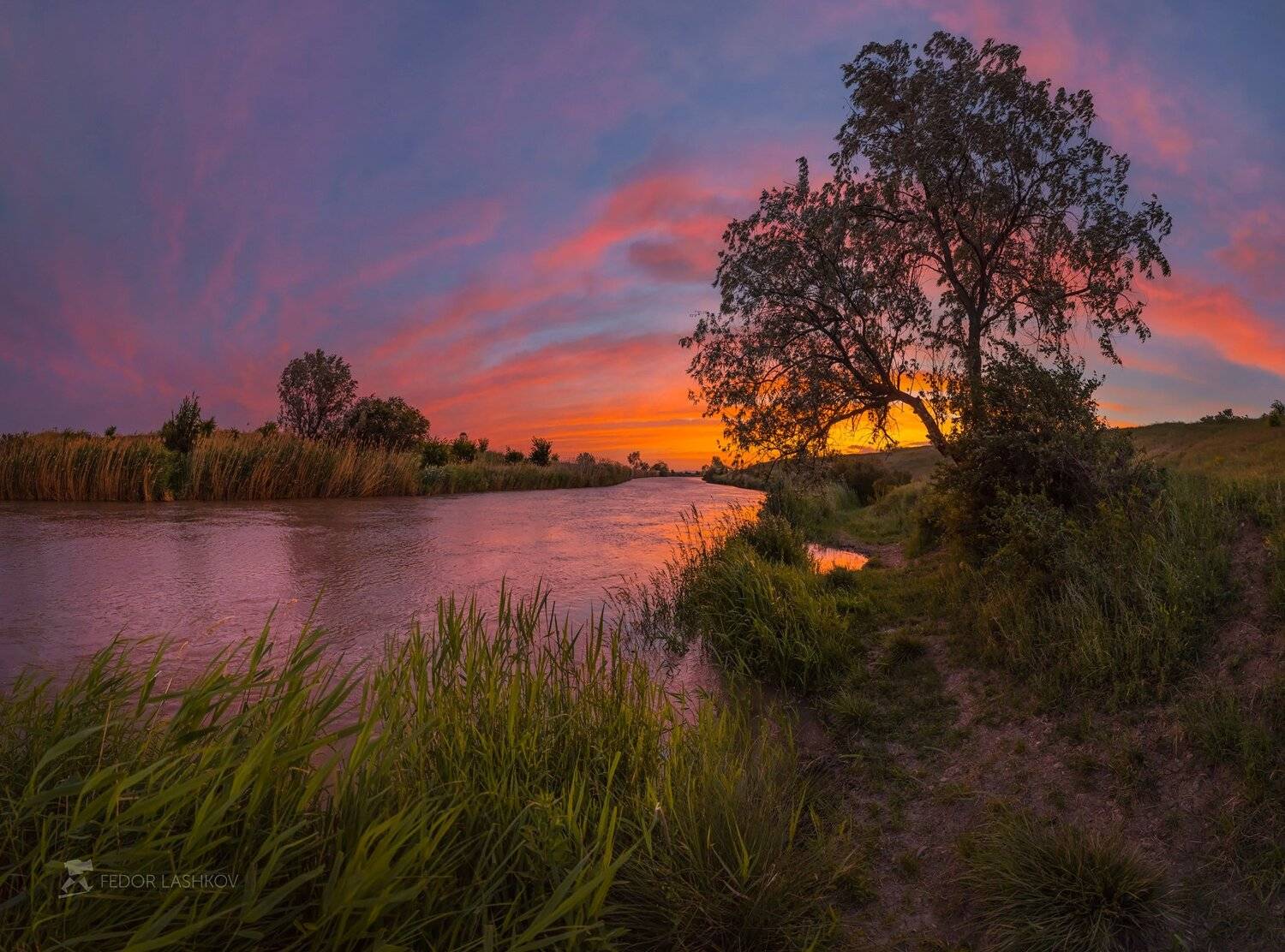 Весенние сумерки. Автор: Лашков Фёдор ставропольский край, фотоальбом, ставрополье, ставропольская возвышенность, весна, река, канал, дерево, сумерки, закат, небо, трава, невинномысский канал, Лашков Фёдор