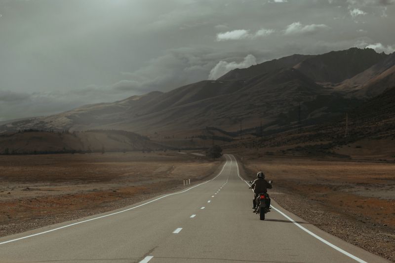 Курай, Алтай Курайская степьphoto preview