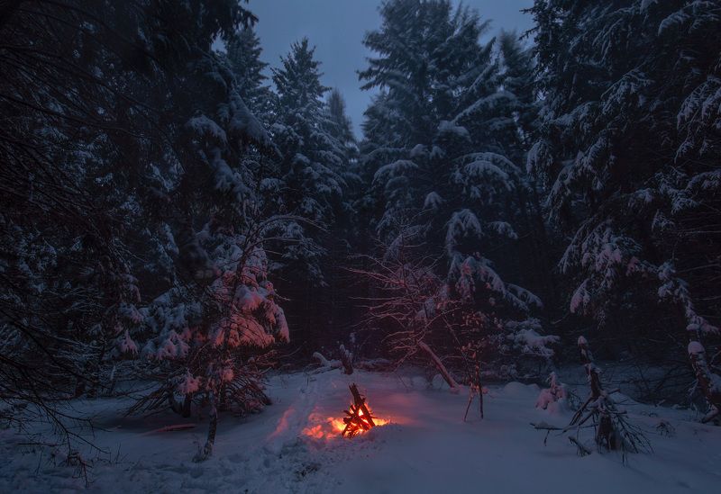 пейзаж, снег, зима, огонь, tamron Сумеречная тишь и одиночество в заснеженном лесуphoto preview