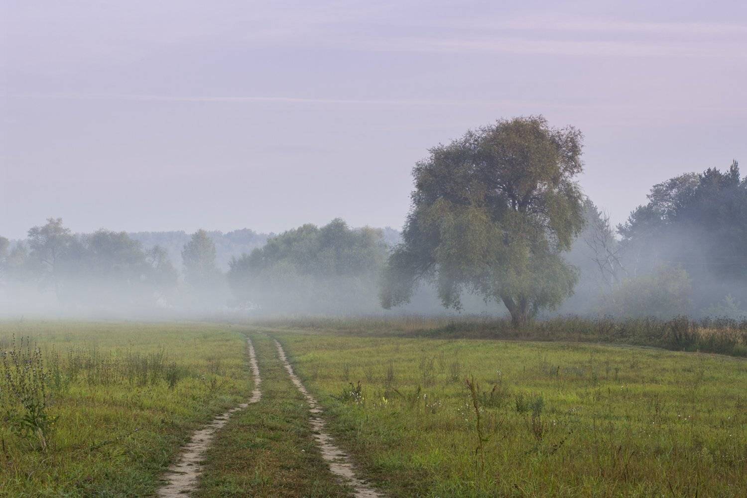 Туманное утро на р. Истра. Автор: Александр Кыров истра, туман, сентябрь, Александр Кыров