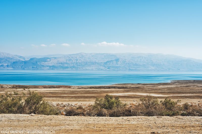 Dead seaphoto preview