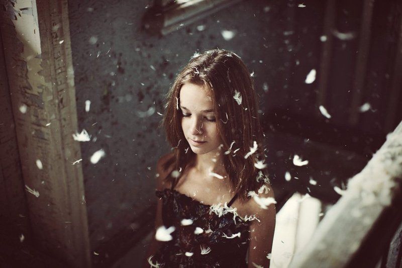 Перьяphoto preview