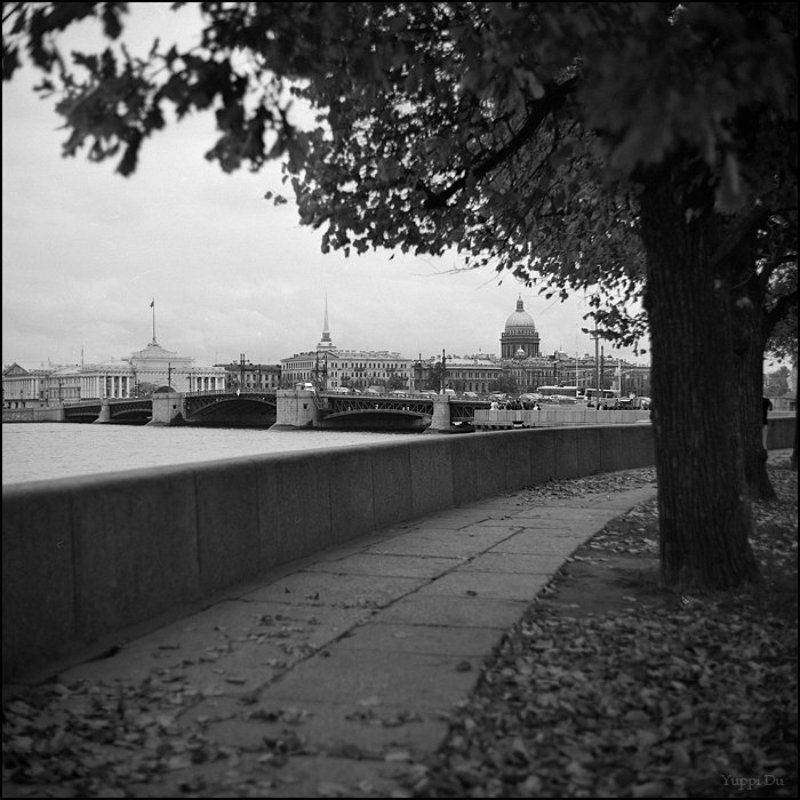 Дворцовый мостphoto preview