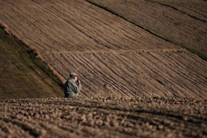 жизнь, жизнь ...photo preview