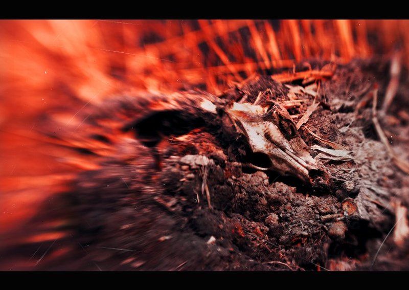 Когда наступает времяphoto preview