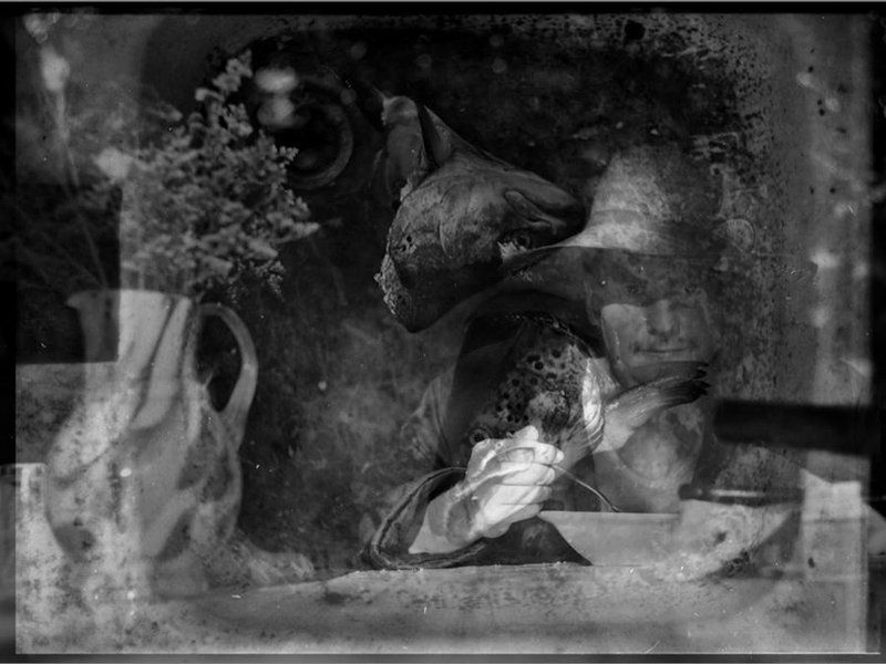 УХА из форелиphoto preview