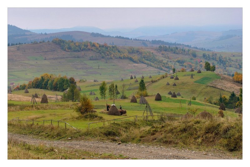 карпаты Карпатская пасторальphoto preview