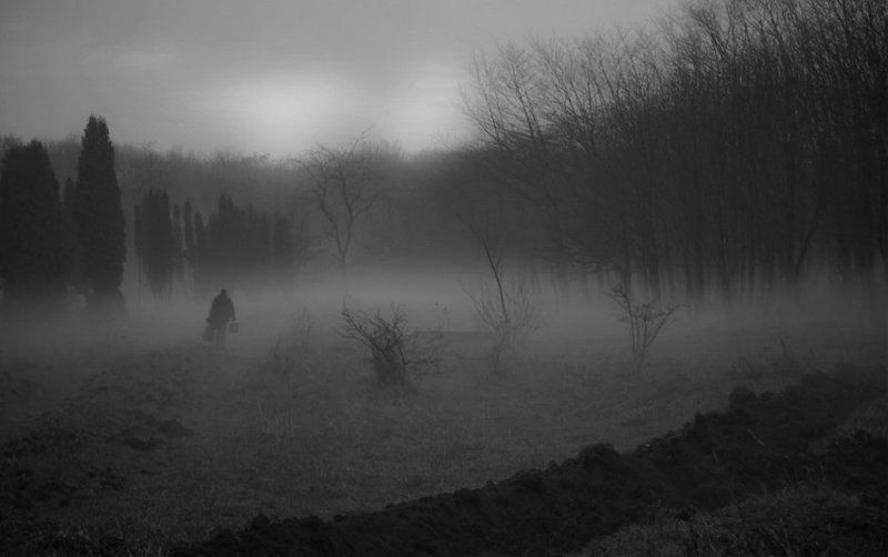 Ноябрьphoto preview