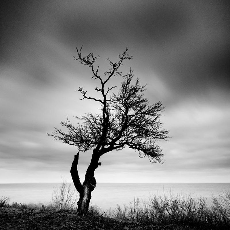 пейзаж, моно, чб *photo preview