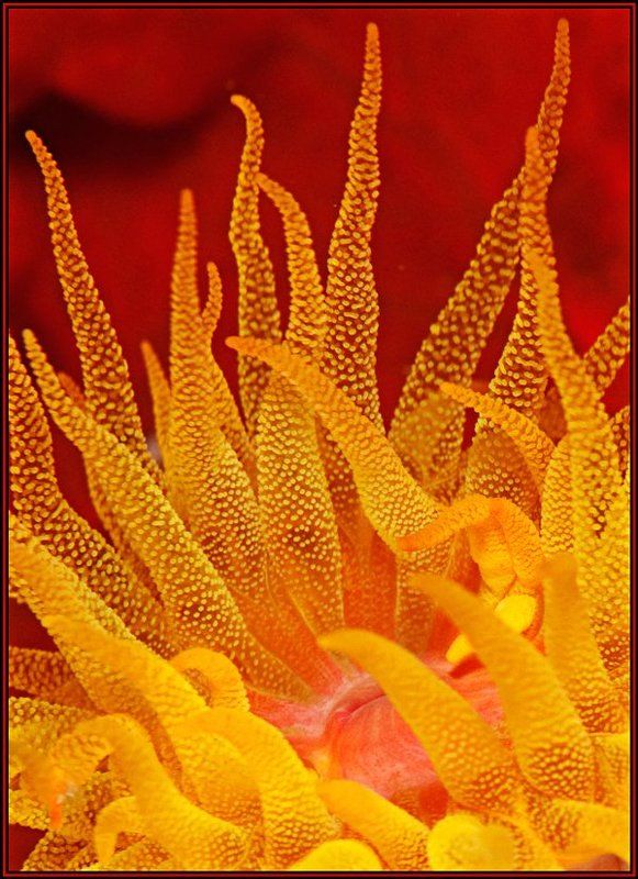 обожгисьphoto preview