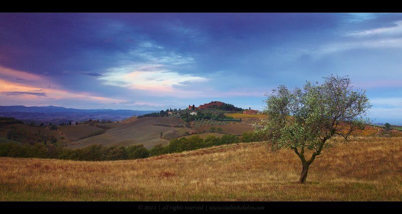 Утро в Тосканеphoto preview