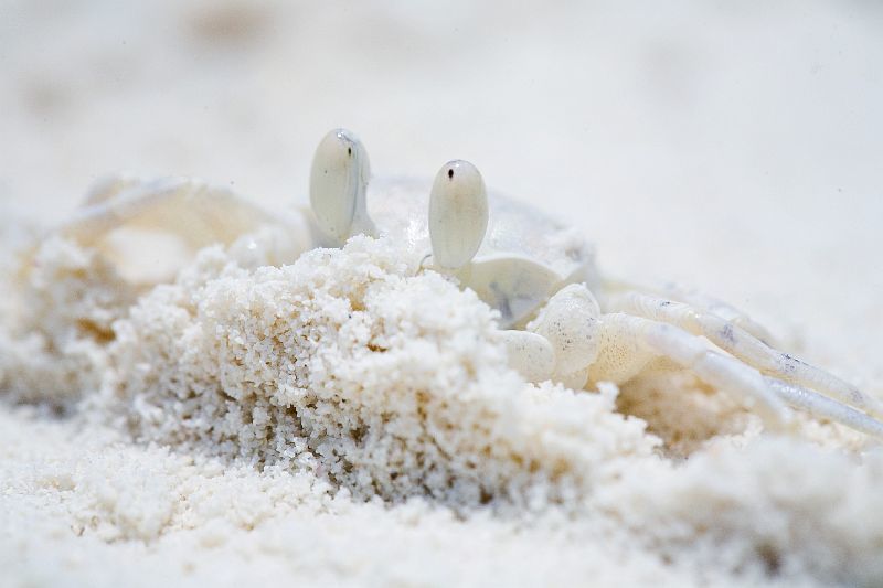 Сижу я в окопеphoto preview