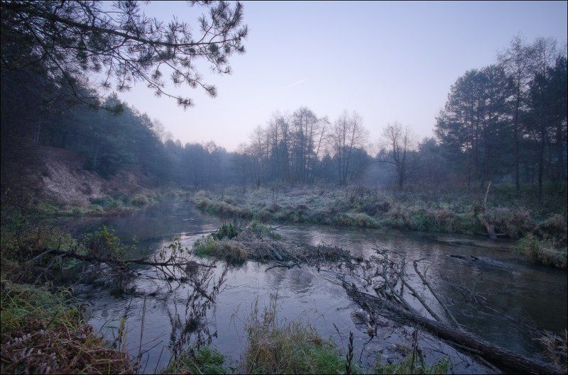 рассвет, река, октябрь, лес Холодный рассветphoto preview