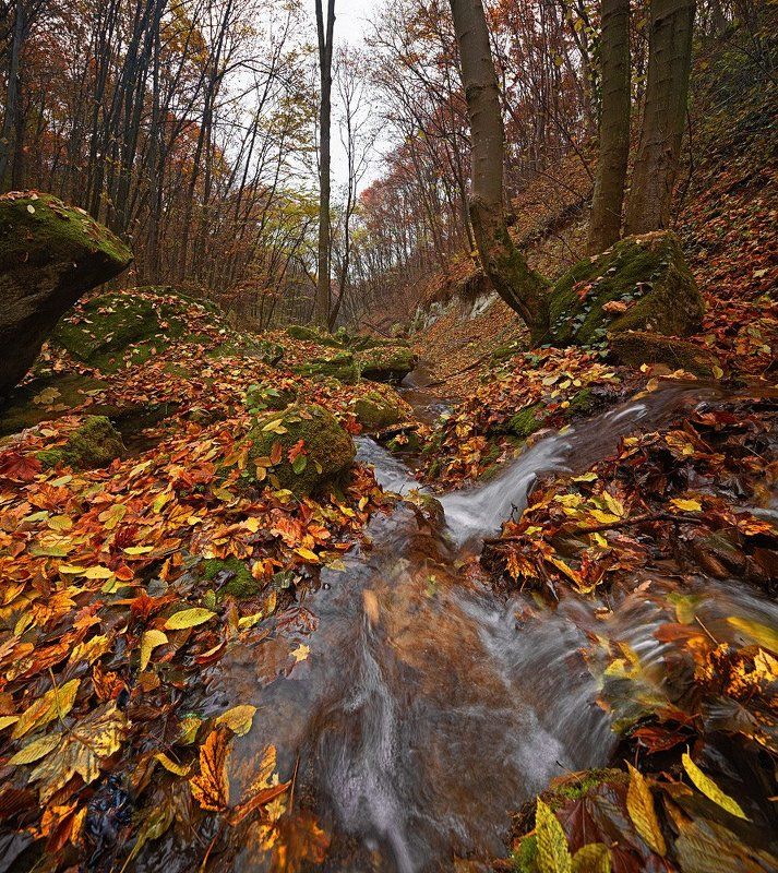 Ручейкиphoto preview