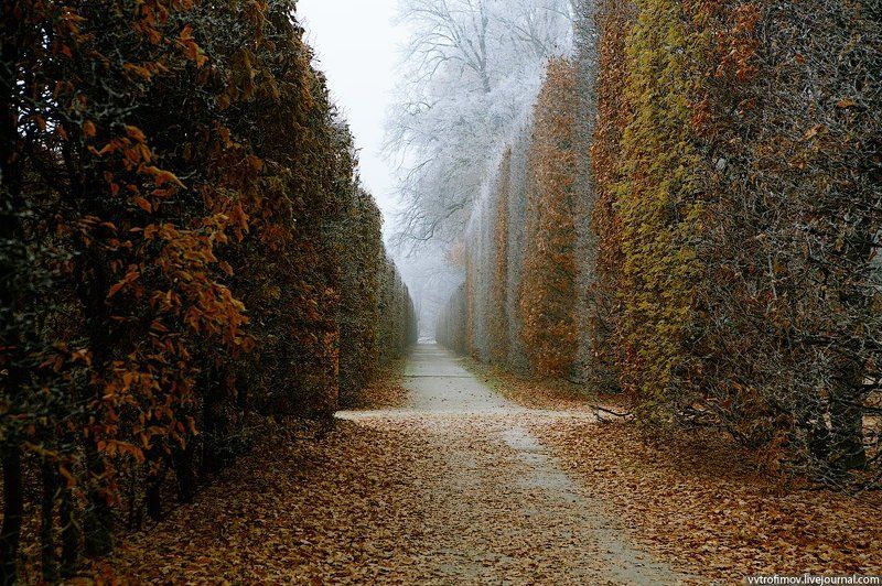 чехия, чешский крумлов В старом паркеphoto preview