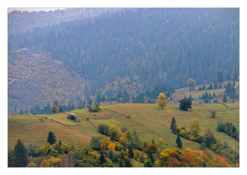 карпаты, осень, жизнь О жизни в горахphoto preview