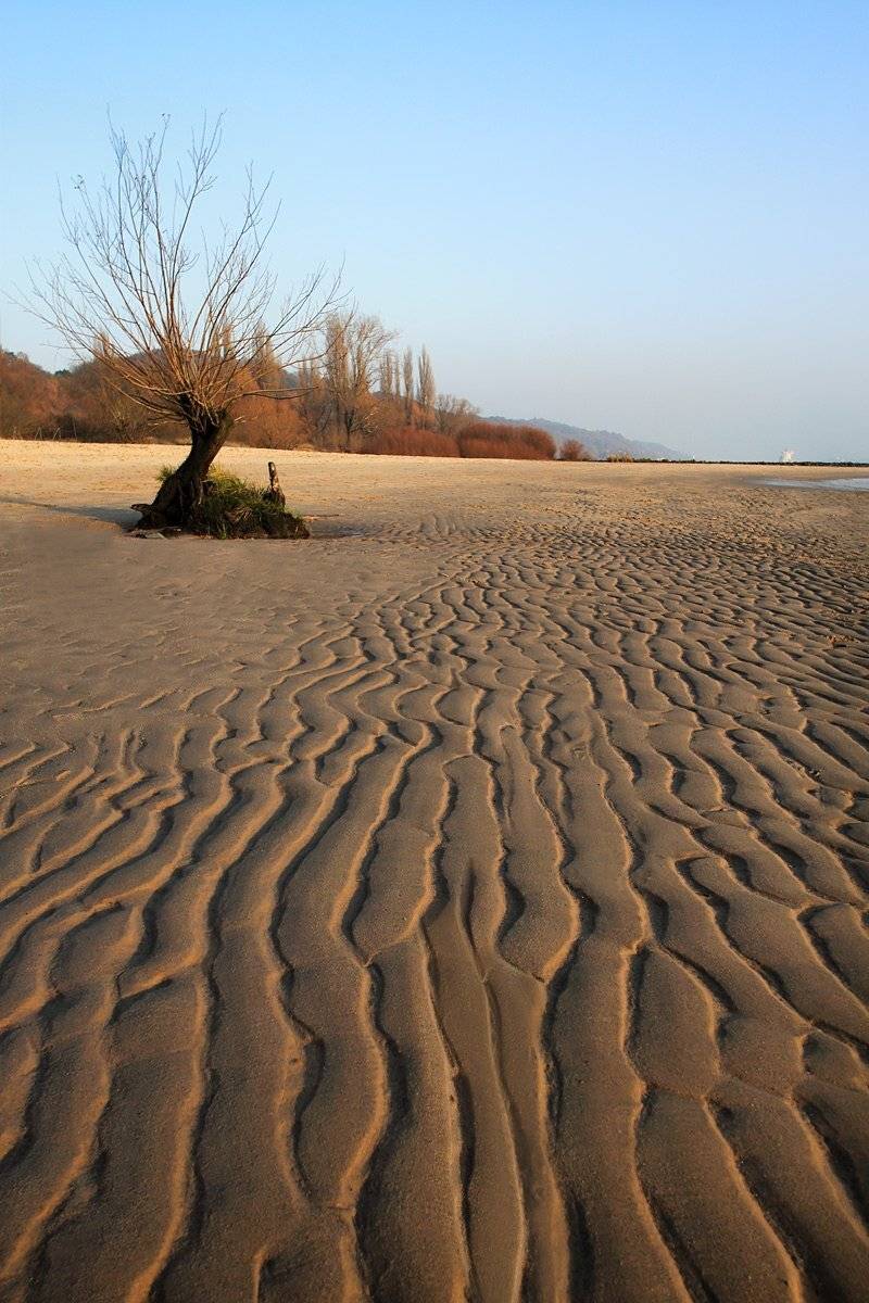 германия,берег, река,, Игорь Дубровский