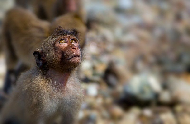 Молитваphoto preview